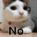 no