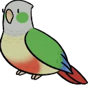 cKiwiBirb