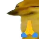 dogepray