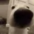 Sniffa