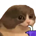 sippy