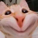 happy_retoo
