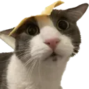 CheeseChamp