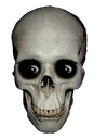skull2