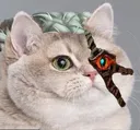 :rengar: