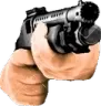 TheShotgun