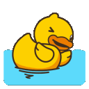Duck_swim1