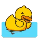 Duck_swim1