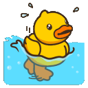 duck_swim