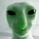 alien_cat