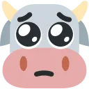 pleading_cow
