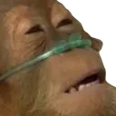 imfuckingdying