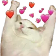 DCH_cathearts