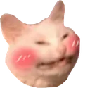 blushcat