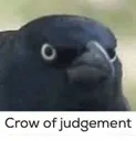 crowofjudgment crowofjudgment