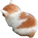 Cat Angy Discord Emoji