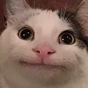 Cat Hm Discord Emoji