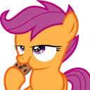 ScootsCookie