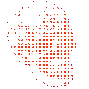 nsflskull nsflskull
