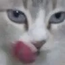 tasty