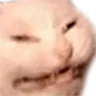 SCWangery