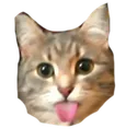 bleh bleh