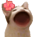 tlamCatBop