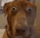 huh