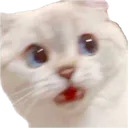 kiki_shooketh kiki_shooketh