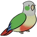 KiwiBirb