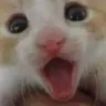 aWOOWW