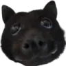 Bat
