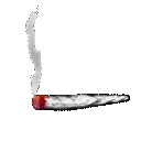 joint
