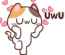 uwucat
