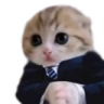 CatBusiness Discord emoji