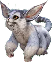 ferox