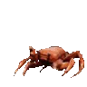 crabrave