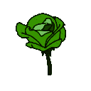 gflower