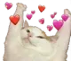hearts hearts