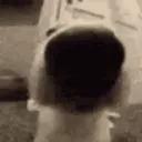 cocksniff