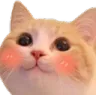 14_catto_blush4 Discord Emoji