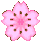 cflower