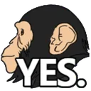 monke_yes monke_yes