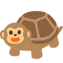turkey turkey