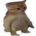 pijcat Discord Emoji
