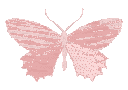 p_butterfly