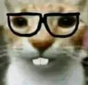 5_cato_nerd 5_cato_nerd