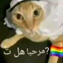 92e0d9cb102a11aa3710d53a72243562