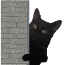 chris_lurk