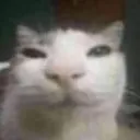 emoji_9